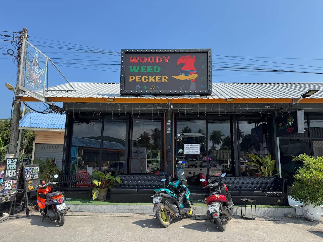 The lane-facing shop — Koh Phangan sun, Woody out front, room to linger